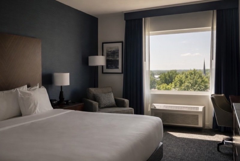 Hotel industry SEO: a calm room with a neatly made bed, an armchair and a desk, a wide window onto treetops
