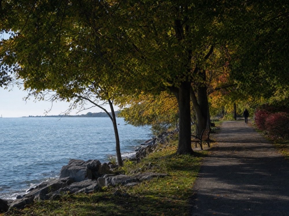 A walking path follows a lake beneath old trees turning color, an empty bench looking over the water