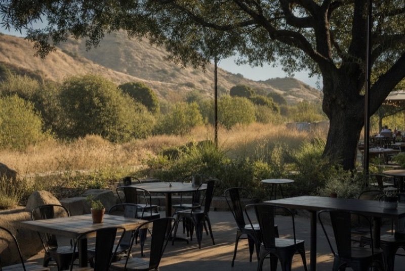 Restaurant industry SEO: empty patio tables in the shade of a broad oak, golden hills out of focus behind them